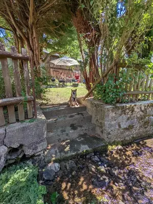 Ein Garten an der Unterkunft H4 - Urlaubsmagie - Kleiner Wohlfühlort mit Pool