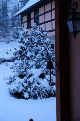 Steffis - Hof im Winter