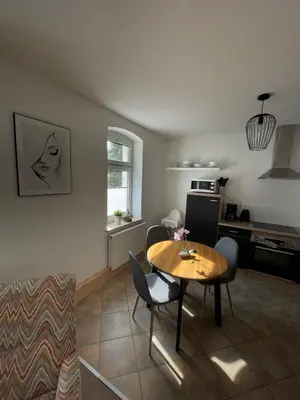 Küche/Küchenzeile in der Unterkunft Apartmenthaus Elbblick Mühlberg