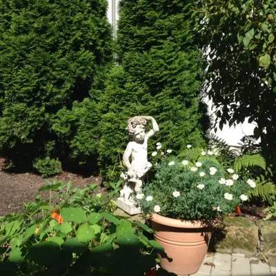 Ein Garten an der Unterkunft Ferienhäusl am Malerweg