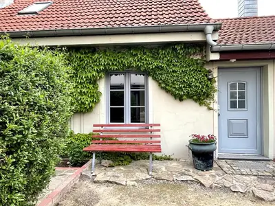 Ein Garten an der Unterkunft FEWO im Kneipenviertel Altkötzschenbroda