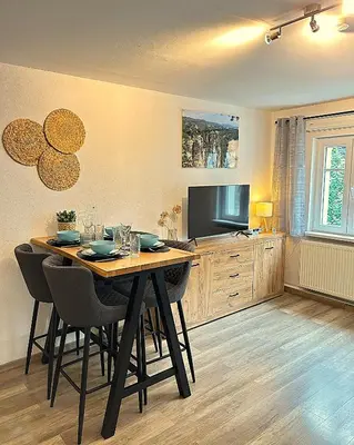 TV/Unterhaltungsangebot in der Unterkunft Sandstein-Ferien, Kamin, Fewo 