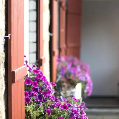 Ferienwohnung Vogelschar Urlaub auf dem Lebenshof