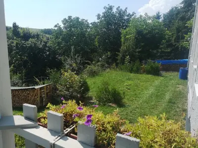 Ein Garten an der Unterkunft Gutshof und Ferienwohnung Proft