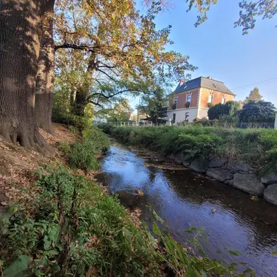 Naturlandschaft in der Nähe der Ferienwohnung