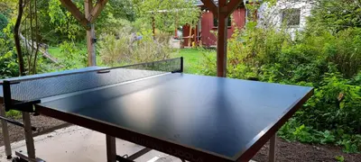 Tischtennis in der Unterkunft Ferienhaus Waldhäus'l oder in der Nähe