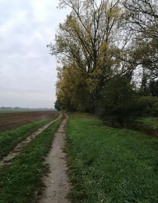 Naturlandschaft in der Nähe der Ferienwohnung