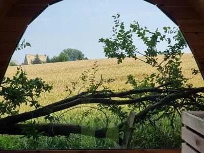 Naturlandschaft in der Nähe der Ferienwohnung