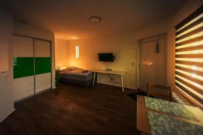 TV/Unterhaltungsangebot in der Unterkunft GottwaldHaus-Freiberg-Apartment / A