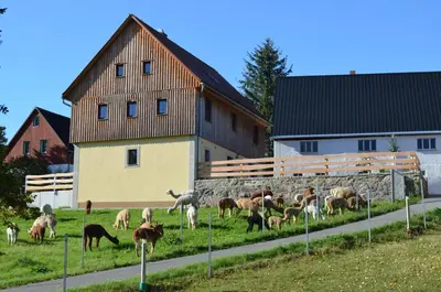 Tiere im Ferienhaus oder in der Nähe