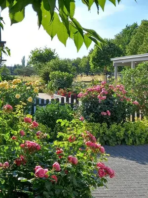 Ein Garten an der Unterkunft Haus-Am-See-Pratzschwitz