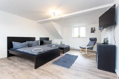 TV/Unterhaltungsangebot in der Unterkunft Apartment Chemnitz-Kappel - Perfekt gelegen zwischen Messe und Zentrum
