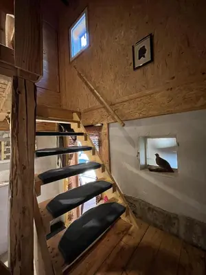 Grundriss der Unterkunft Ferienwohnung 