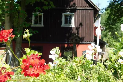 Ein Garten an der Unterkunft Ferienwohnung 