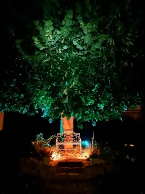 Ein Garten an der Unterkunft Monteur-Ferienwohnung OT Naundorf