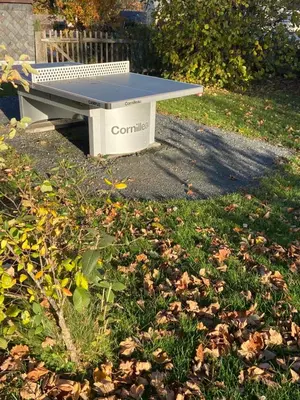 Ein Garten an der Unterkunft Haus Charlotte - Kurort Gohrisch - Terrasse - Gartensauna - Parkplatz