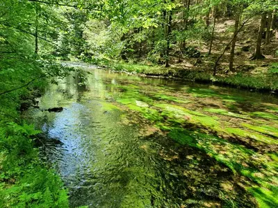 Naturlandschaft in der Nähe der Ferienwohnung