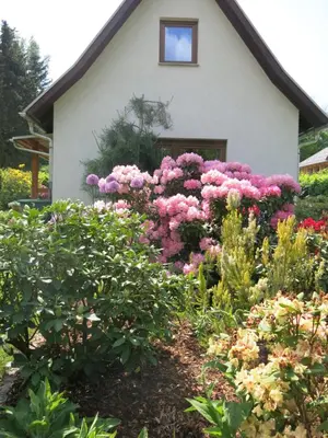 Ein Garten an der Unterkunft Privathaus Wehle