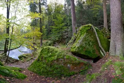 Ein Garten an der Unterkunft Appartement`s - HAUS KAROLA
