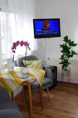 TV/Unterhaltungsangebot in der Unterkunft Günstige Unterkunft Sächsische Schweiz