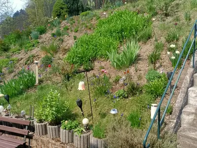 Ein Garten an der Unterkunft Papststein