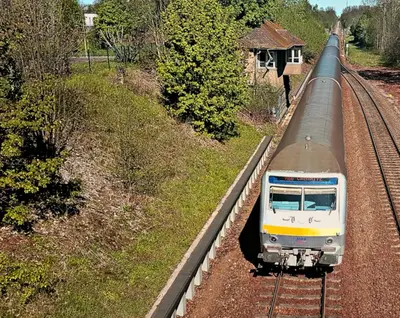 Grundriss der Unterkunft Parkvilla Bad Lausick