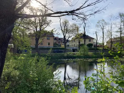 Naturlandschaft in der Nähe der Ferienwohnung